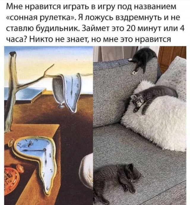 Скрины из соцсетей