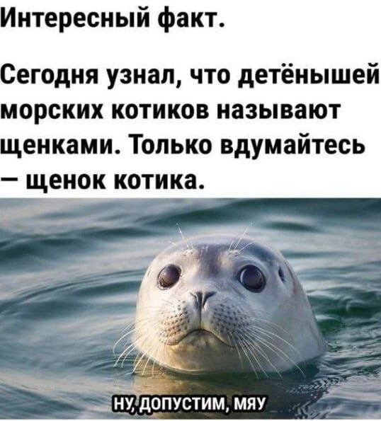 Скрины из соцсетей