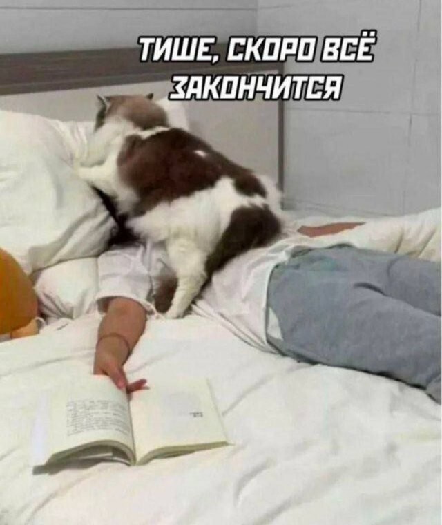Скрины из соцсетей
