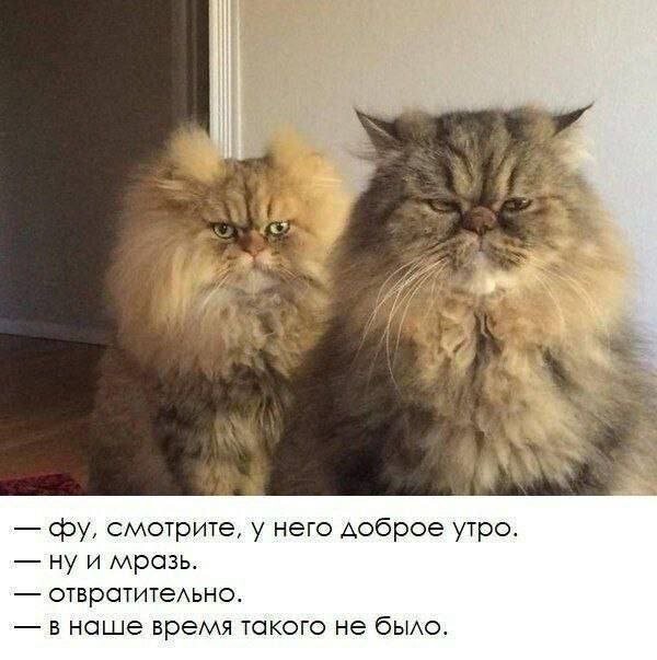 Скрины из соцсетей