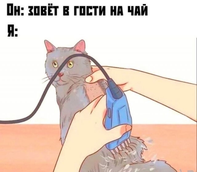 Скрины из соцсетей