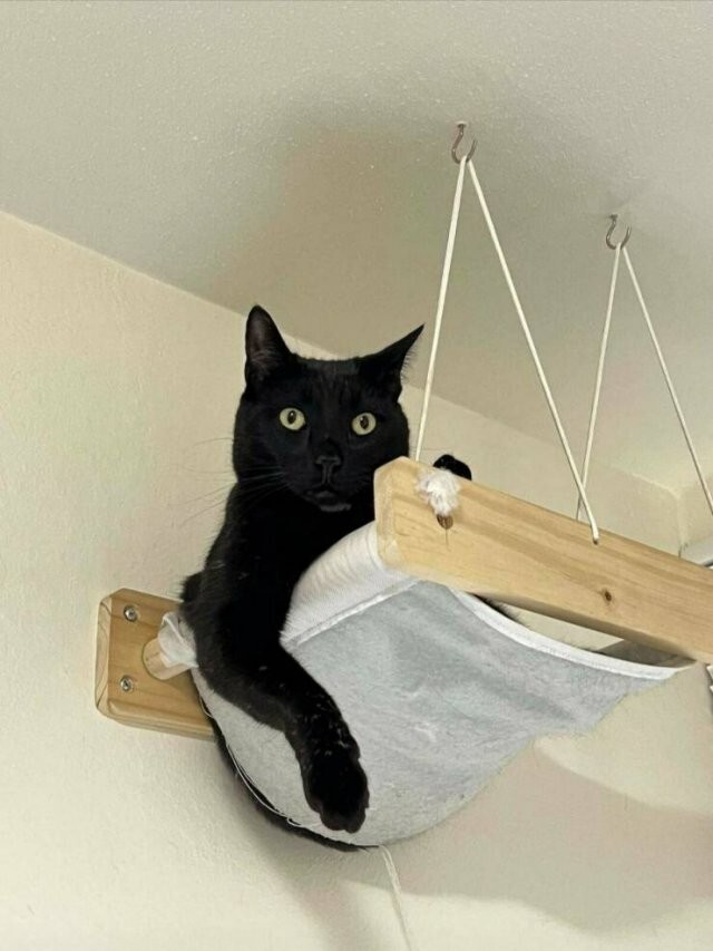 Намешалось