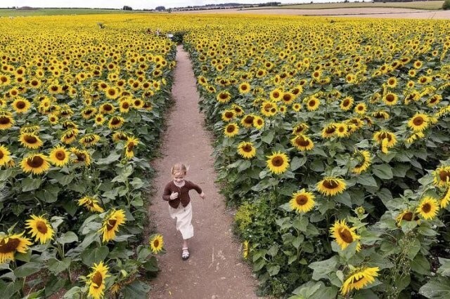 Намешалось