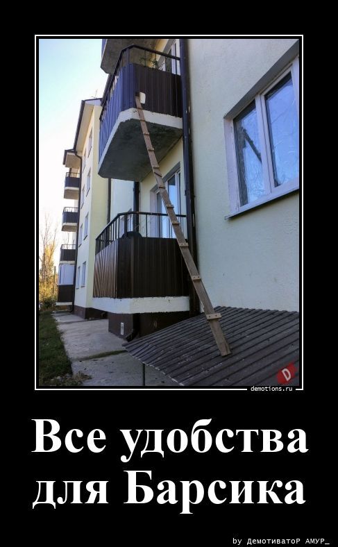Все удобства для Барсика