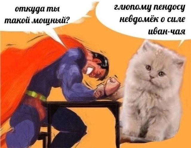 Не ищите здесь смысл. Здесь в основном маразм