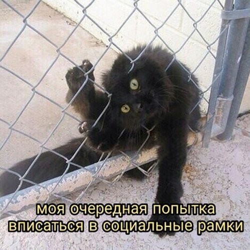 Не ищите здесь смысл. Здесь в основном маразм