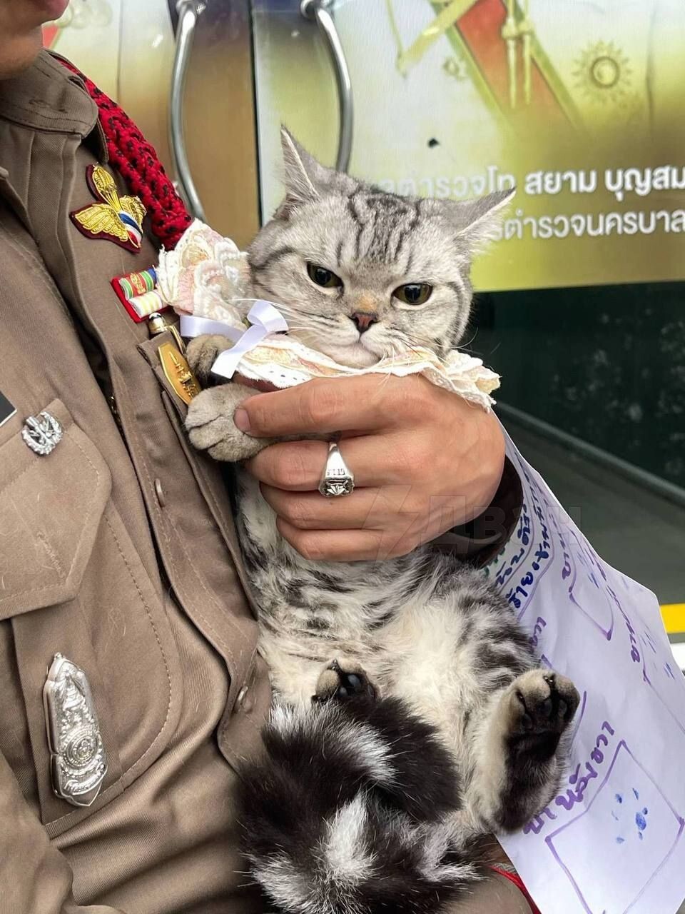 Самое милое задержание