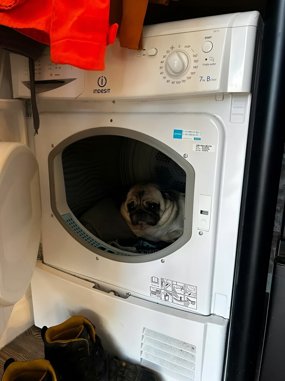 На общую тему 