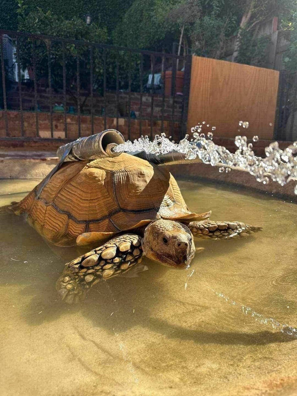 На общую тему 