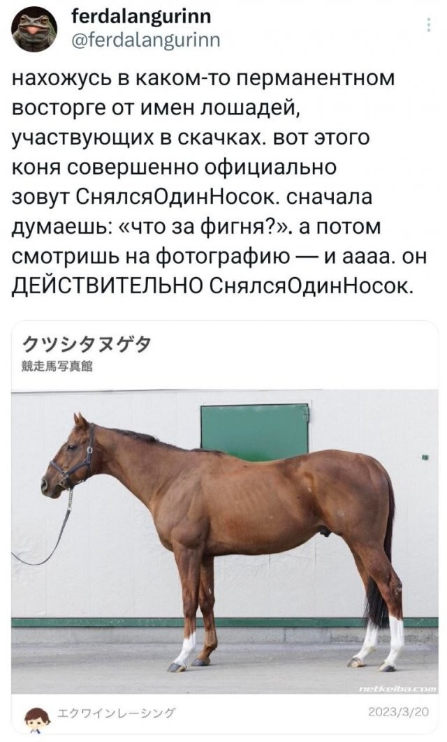Скрины из соцсетей