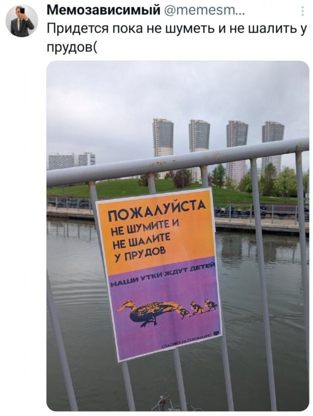 Скрины из соцсетей