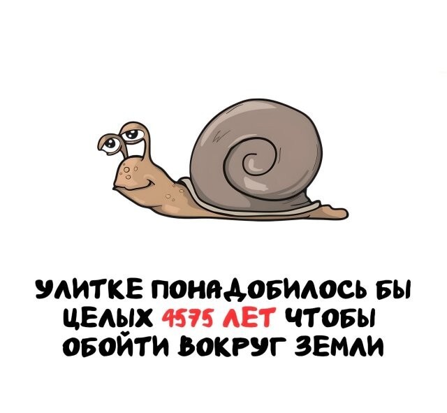 А вдруг ты не знал…