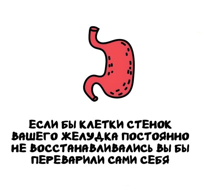 А вдруг ты не знал…