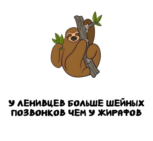 А вдруг ты не знал…