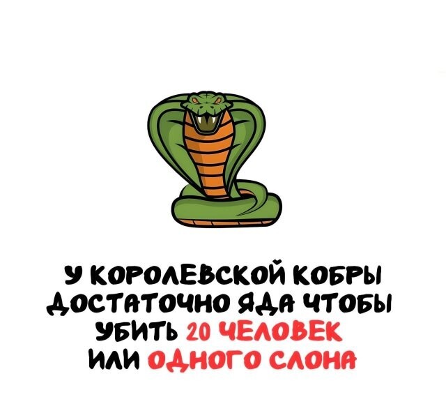 А вдруг ты не знал…