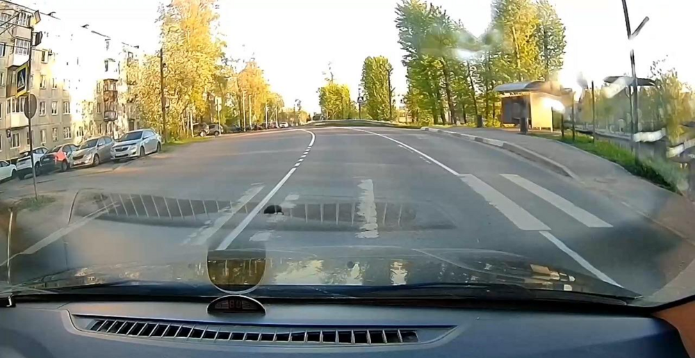 Ёж перешёл дорогу по «зебре» в Санкт-Петербурге 