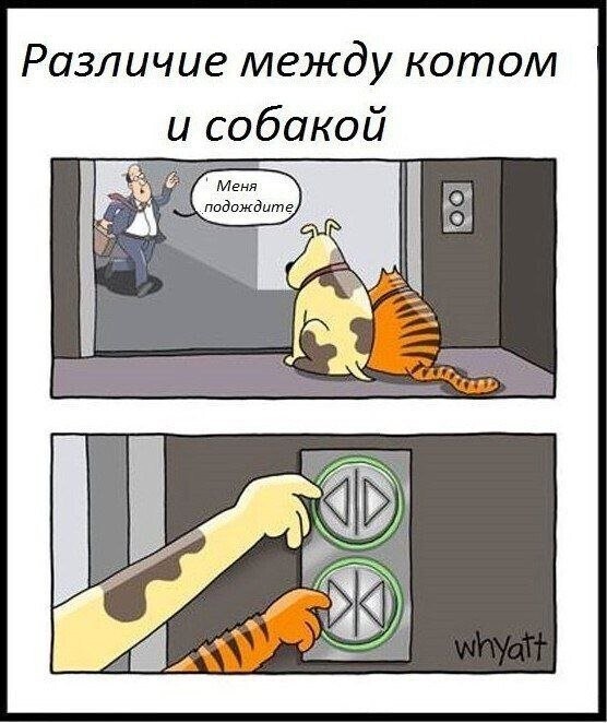 Не ищите здесь смысл. Здесь в основном маразм