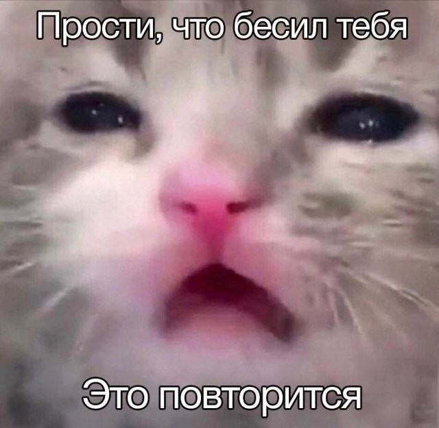 Не ищите здесь смысл. Здесь в основном маразм