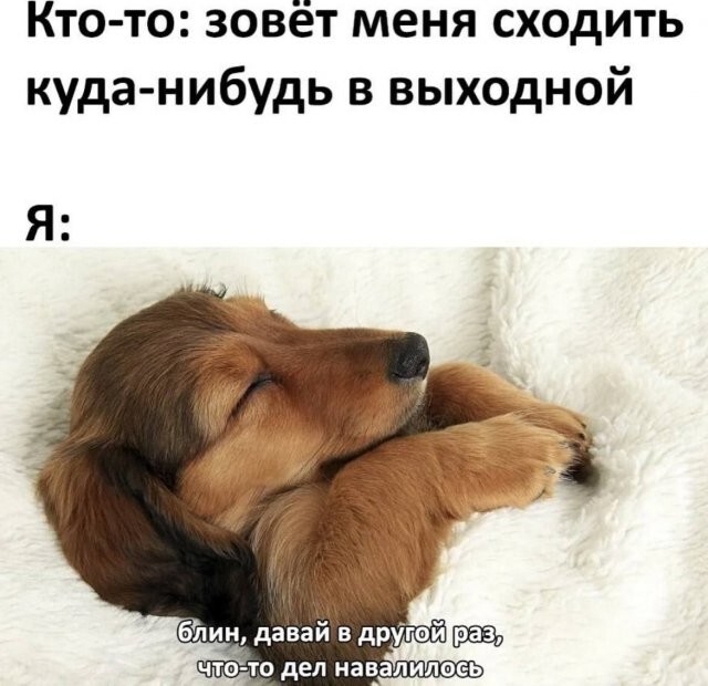 Не ищите здесь смысл. Здесь в основном маразм