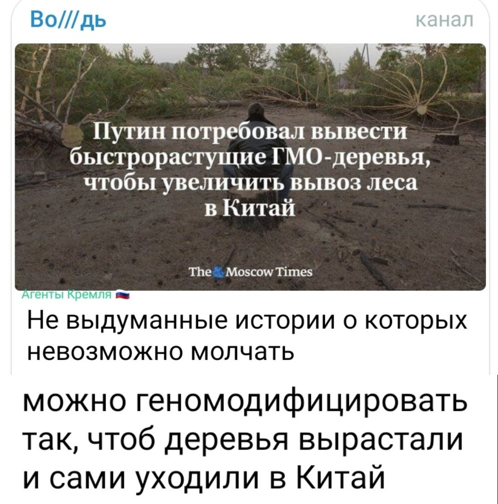 И быстрорастущие ГМО-грибы – специально для "The Moscow Times"