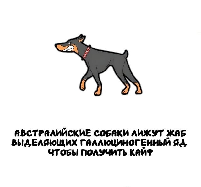 А вдруг ты не знал…