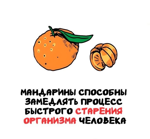 А вдруг ты не знал…