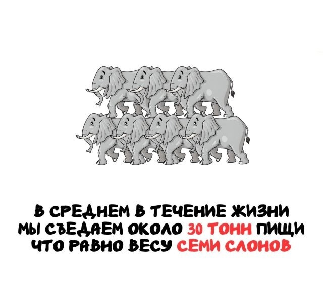 А вдруг ты не знал…