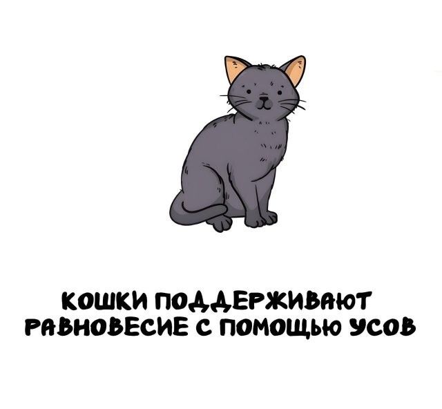 А вдруг ты не знал…