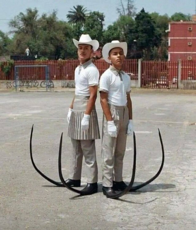  Намешалось 