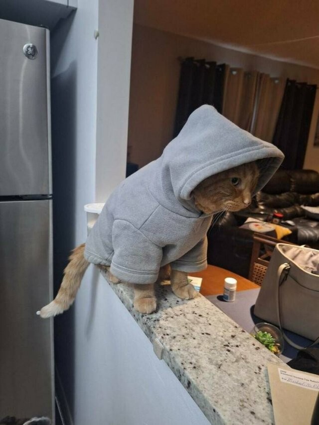  Намешалось 