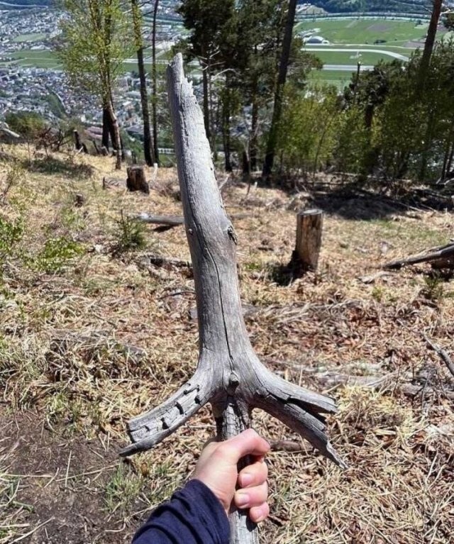  Намешалось 