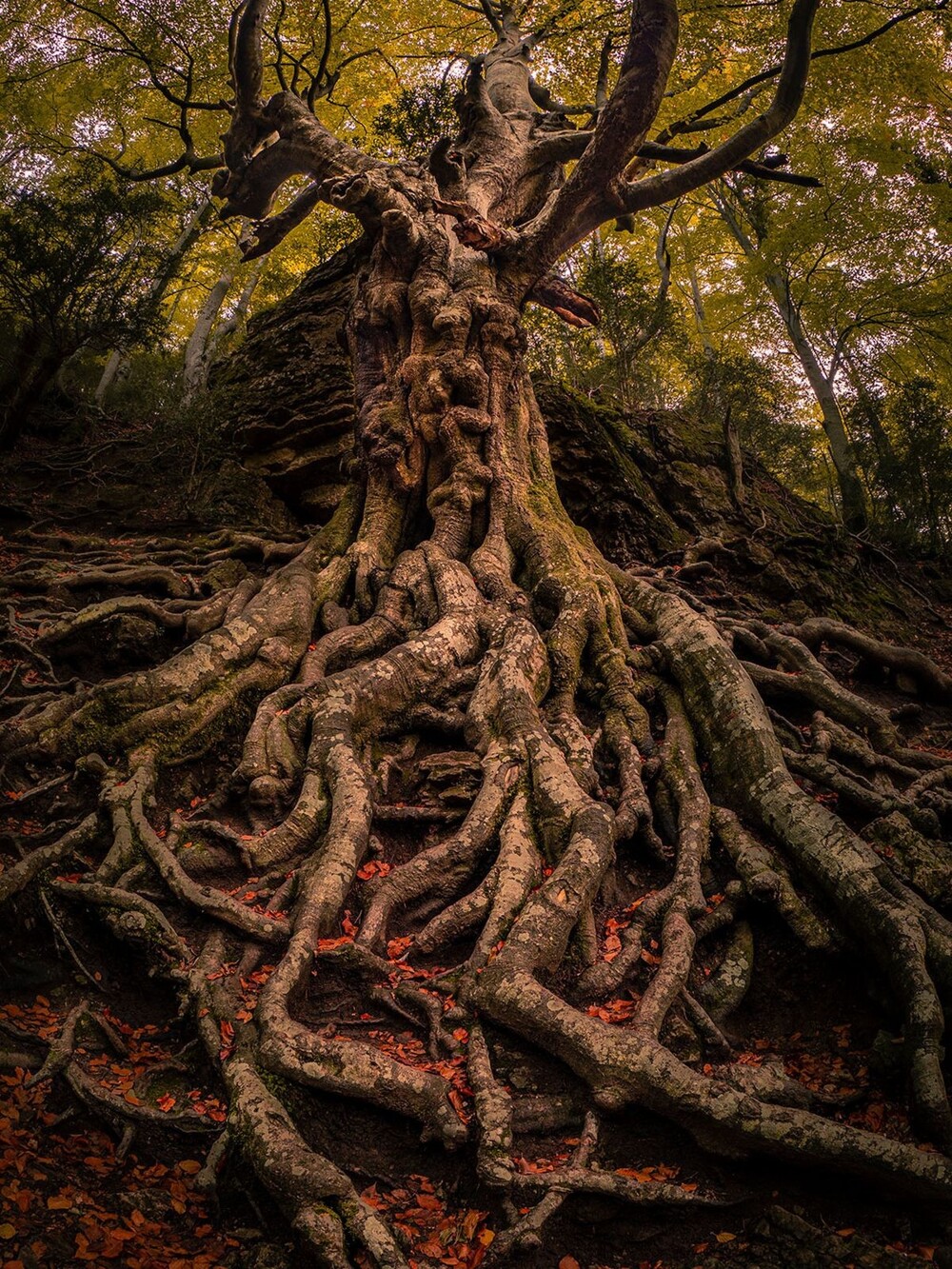 Фотоработы Мойзес Кугат