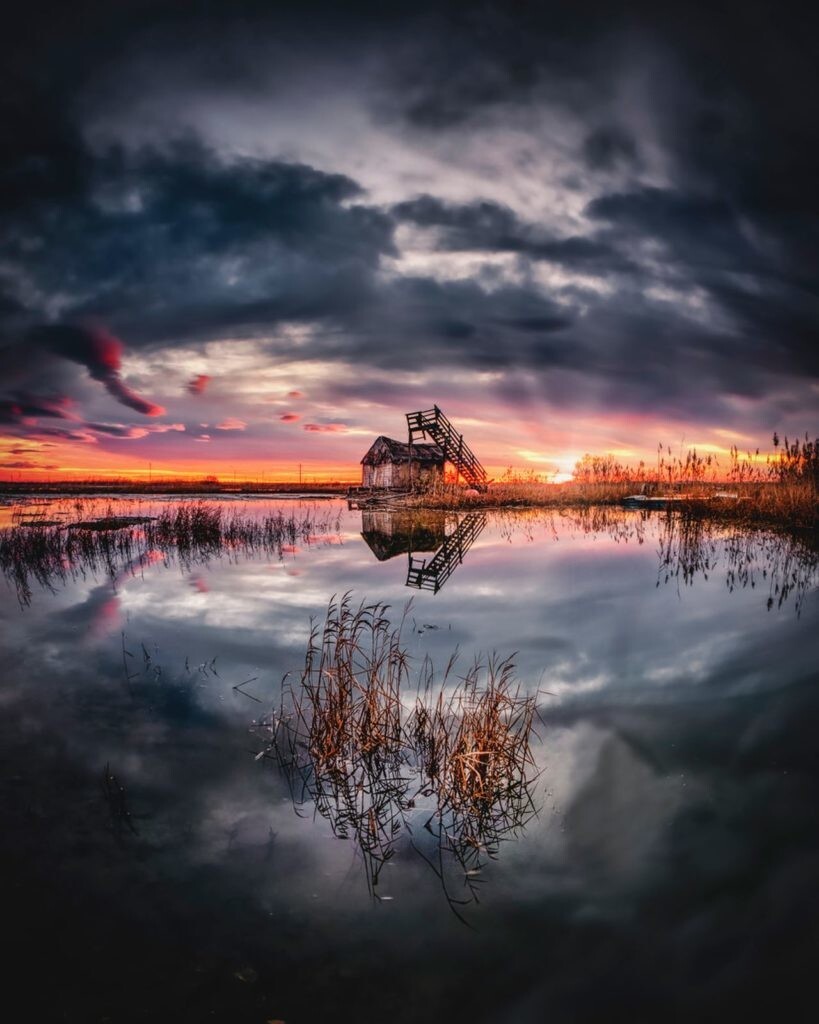 Фотоработы Мойзес Кугат