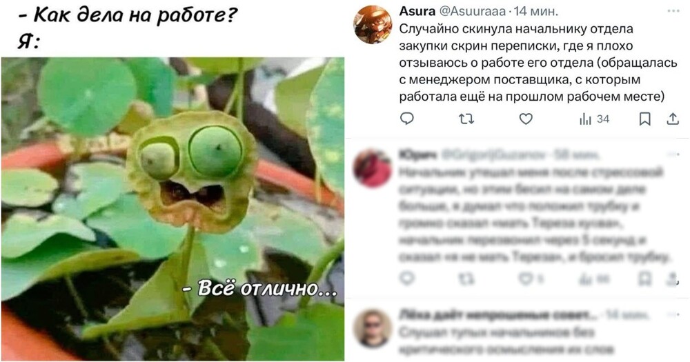 Что самое стыдное, связанное с работой, вы делали?