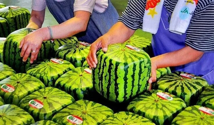 4. Круглое квадратное