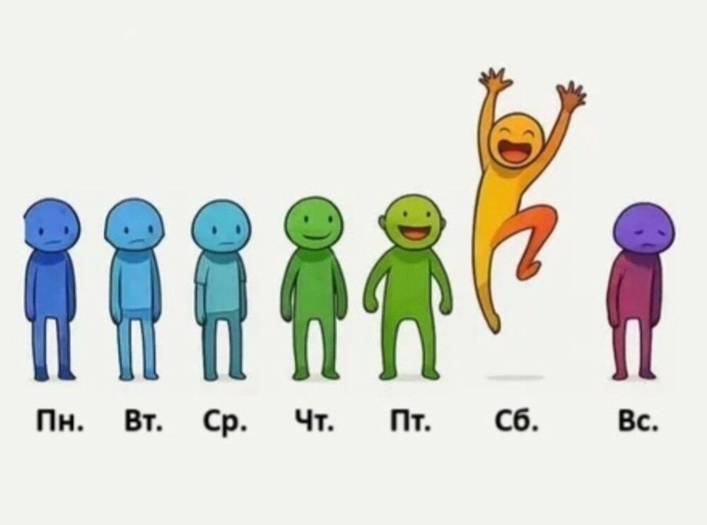 О политике и не только