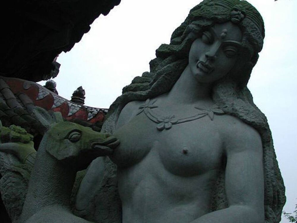16. Олененок, Китай