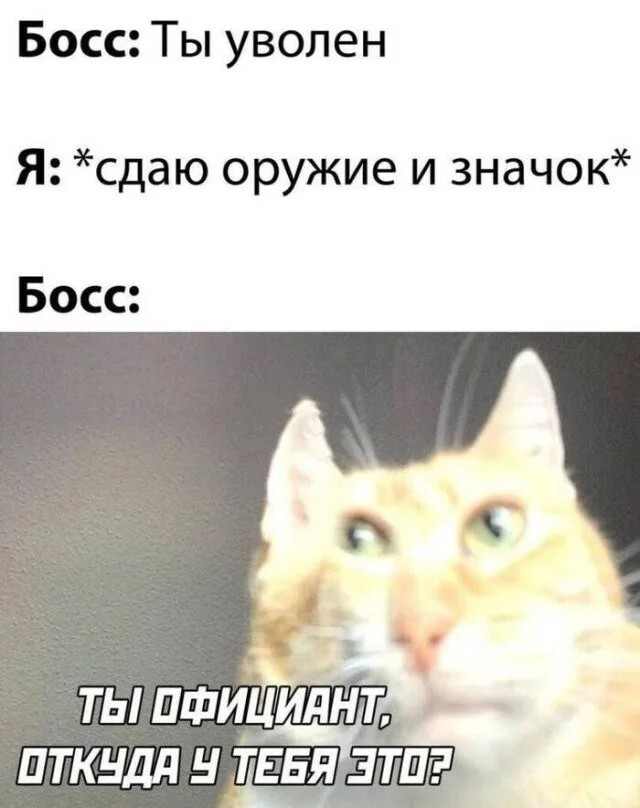 Смешные картинки