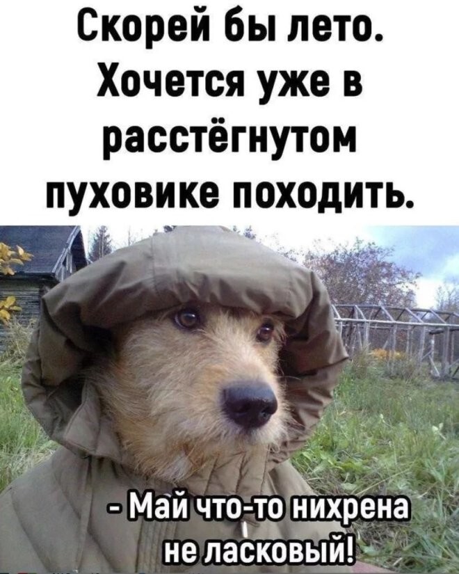 Смешные картинки