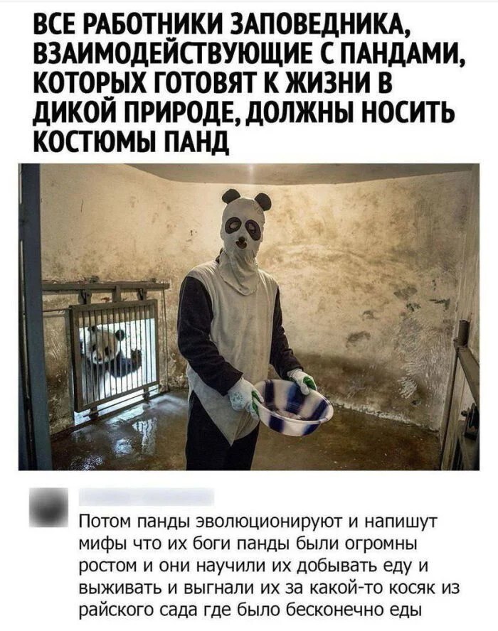 Смешные картинки