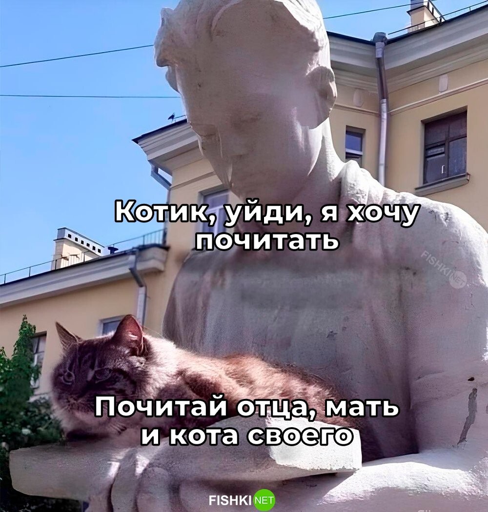 Смешные картинки