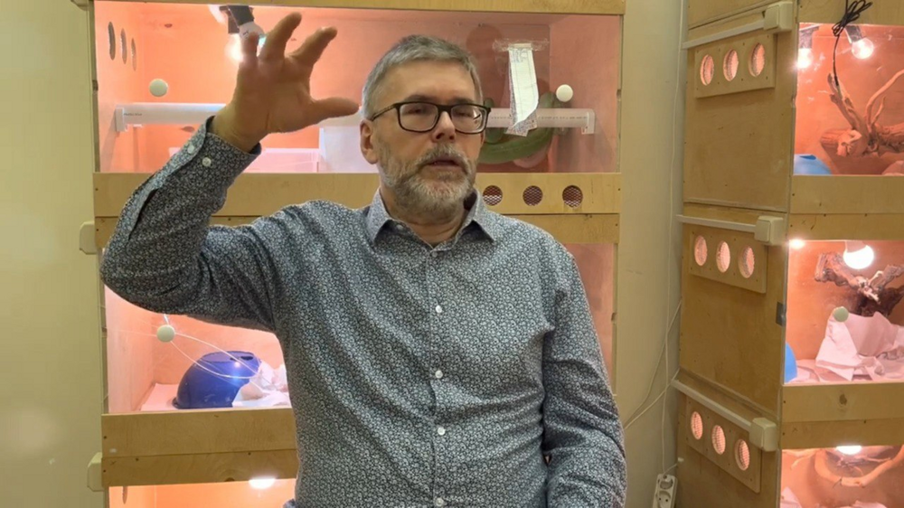 Габонская гадюка: реальная история укуса русского учёного и его смелая реакция на угрозу жизни