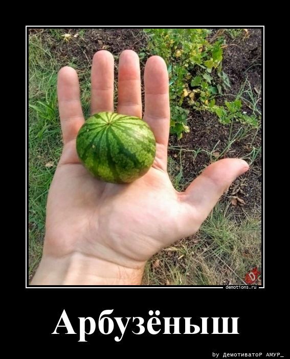 Арбузёныш