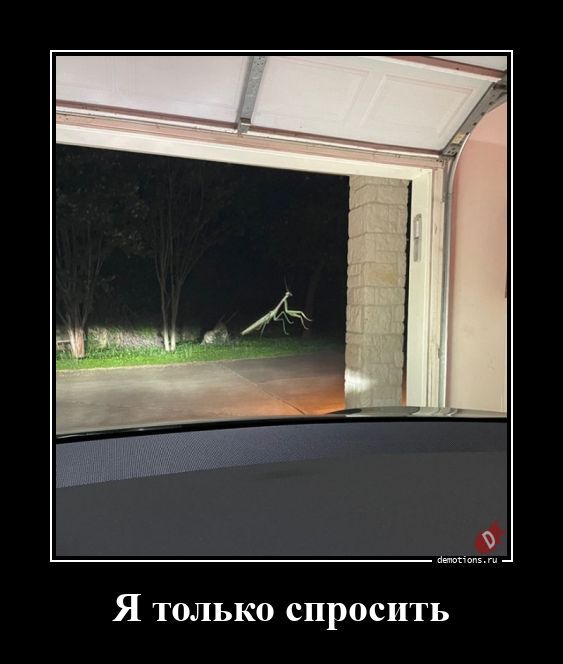 Я только спросить