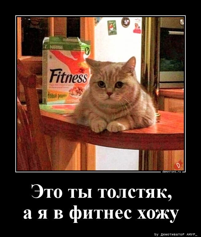 Это ты толстяк, а я в фитнес хожу