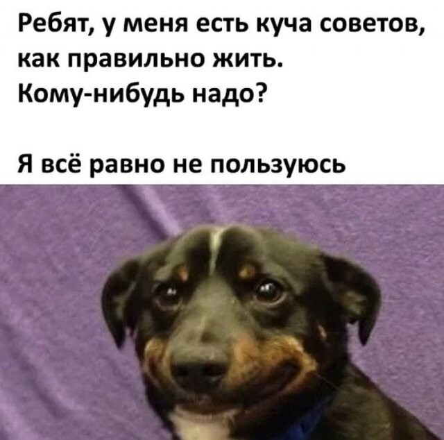 Скрины из соцсетей
