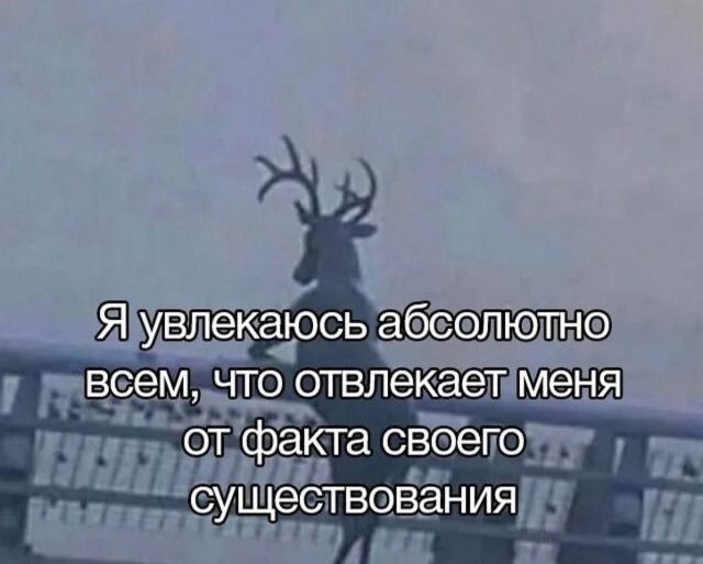 Скрины из соцсетей