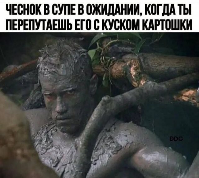 Скрины из соцсетей