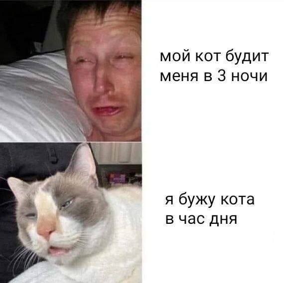 Скрины из соцсетей