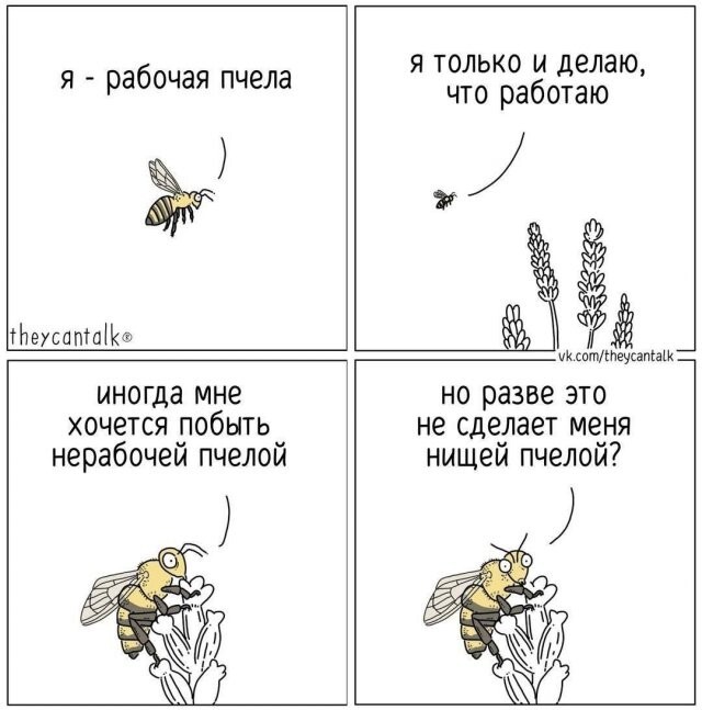 Скрины из соцсетей